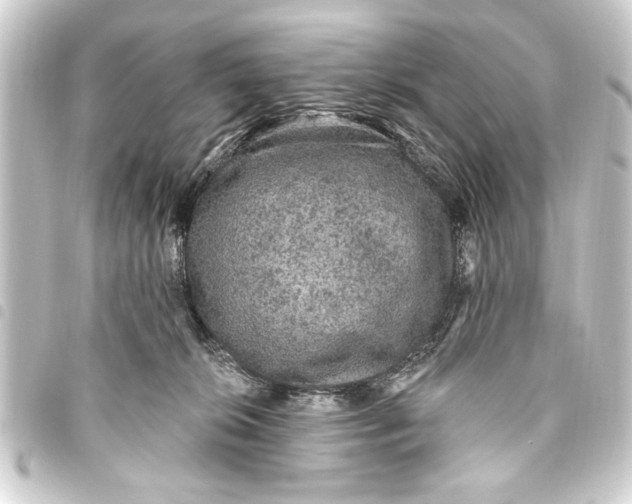 X0000093450276200711021120