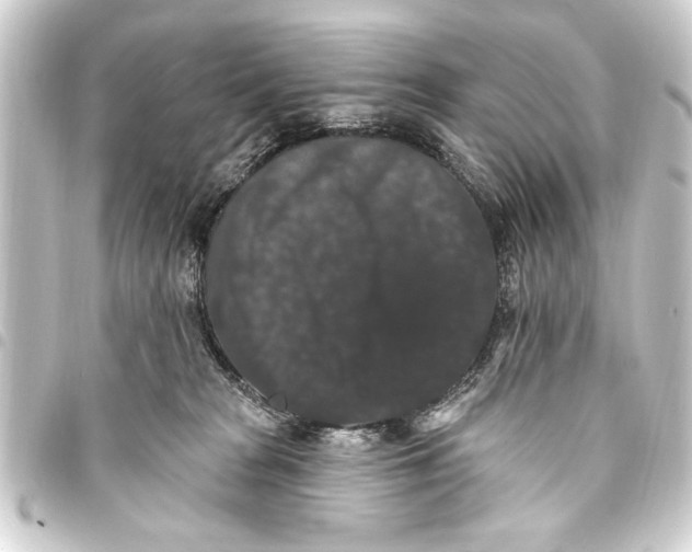 X0000093450277200711021120