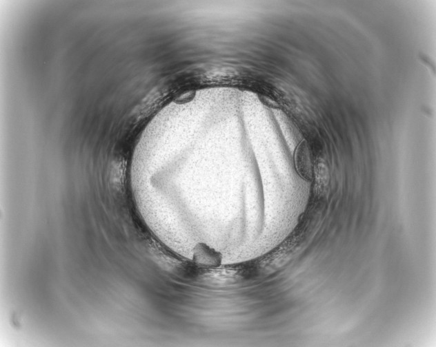 X0000093450278200711021120