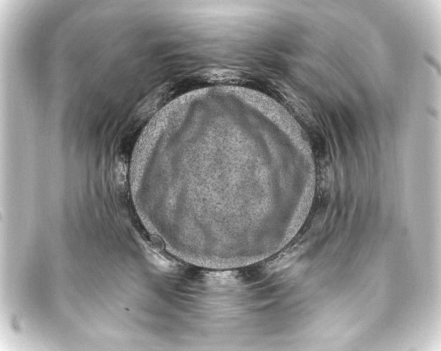 X0000093450281200711021120