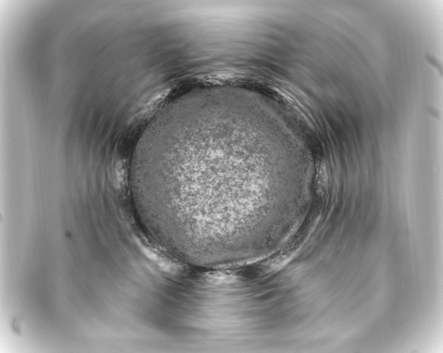 X0000093450284200711021120