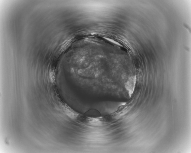 X0000093450285200711021120