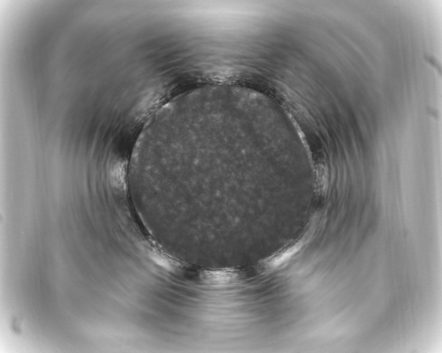 X0000093450286200711021120