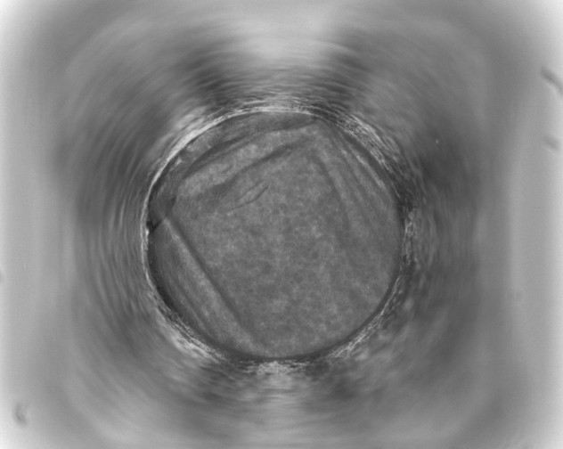 X0000093450290200711021120