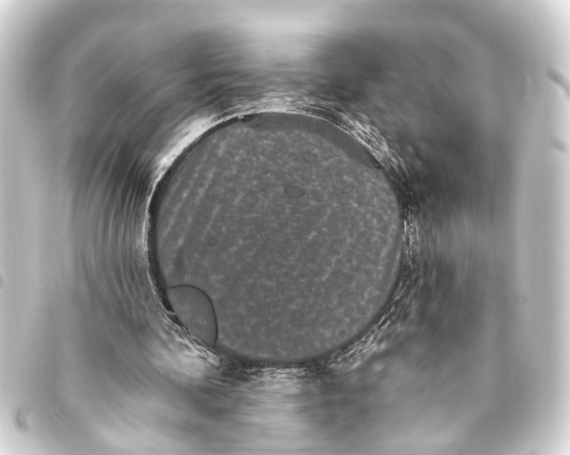 X0000093450292200711021120