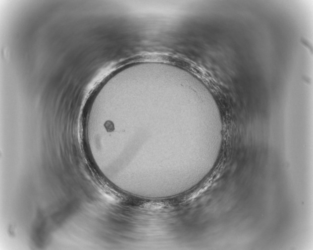 X0000093450294200711021119