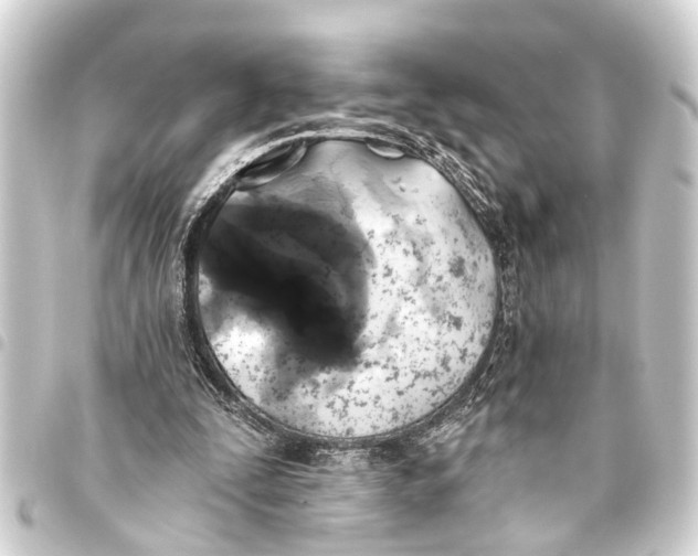 X0000093450295200711021119