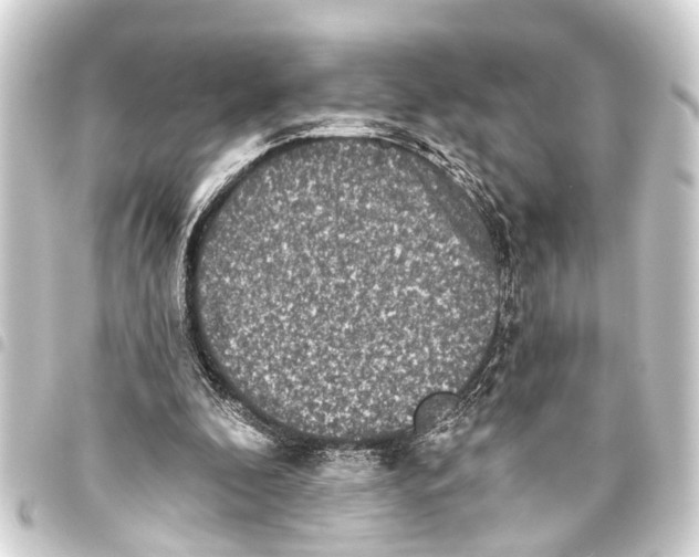 X0000093450296200711021119