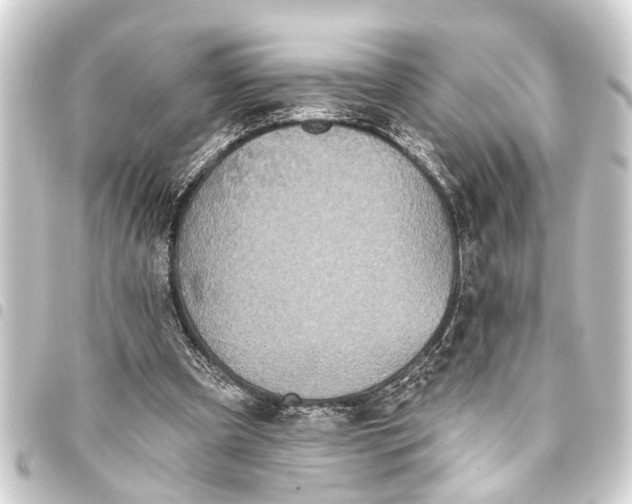 X0000093450297200711021119