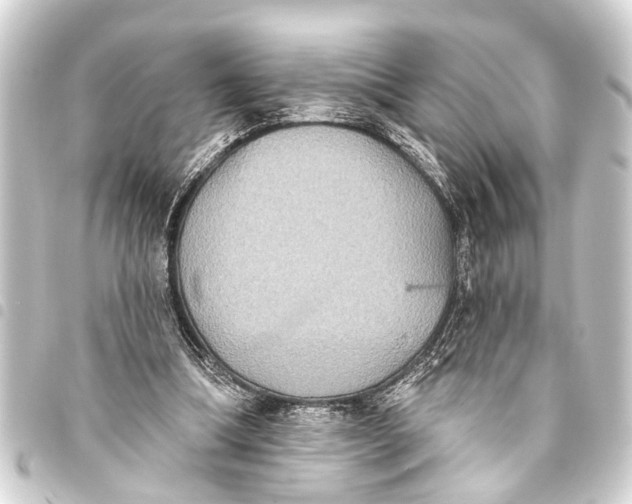 X0000093450298200711021119