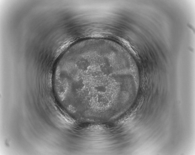 X0000093450299200711021119