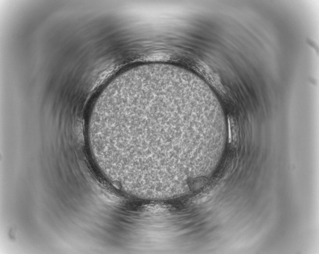 X0000093450300200711021119