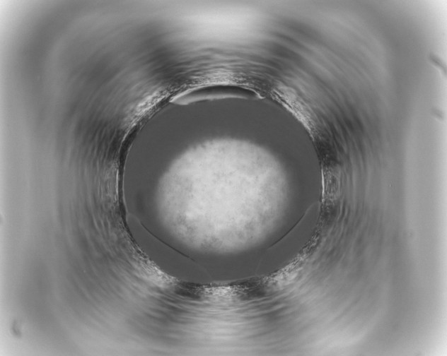 X0000093450301200711021119