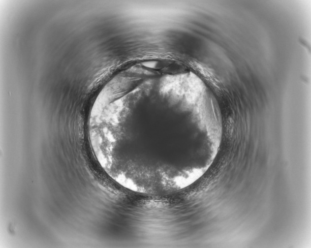 X0000093450303200711021119