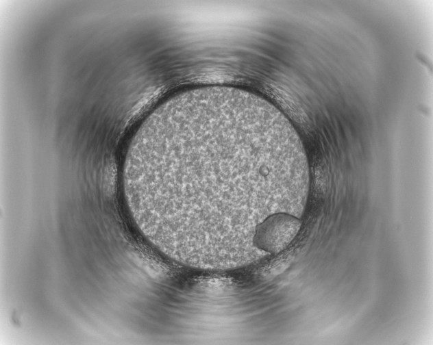 X0000093450304200711021119