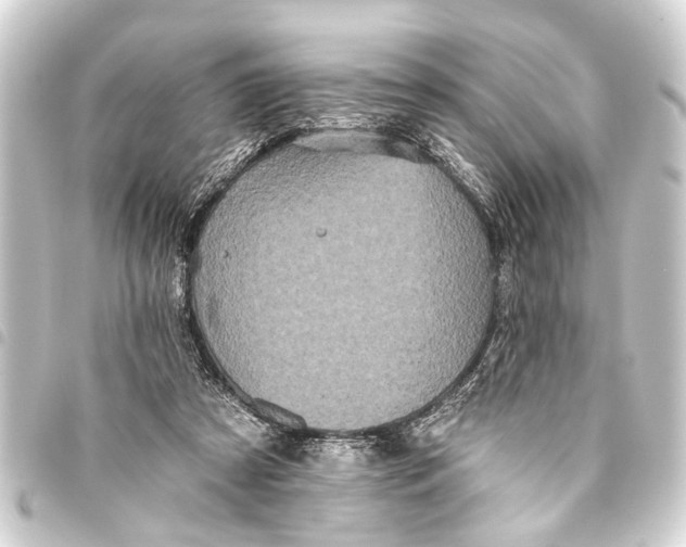 X0000093450305200711021119