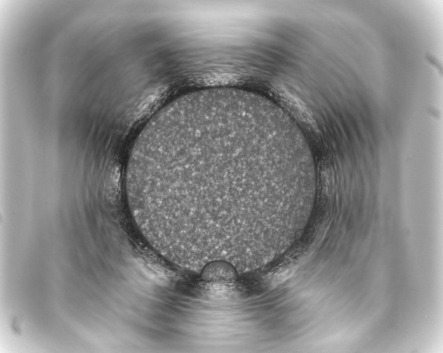 X0000093450308200711021119