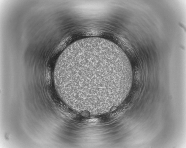 X0000093450312200711021119