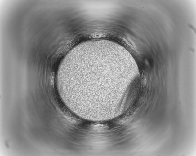 X0000093450315200711021119