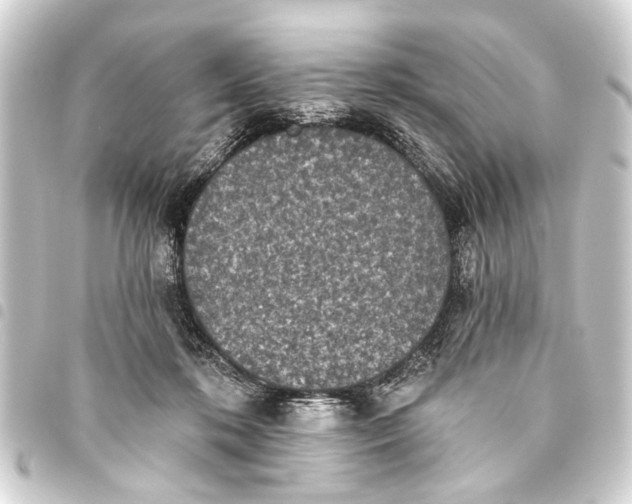 X0000093450316200711021119