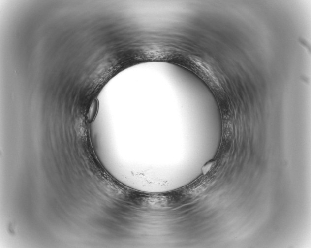 X0000093450317200711021119