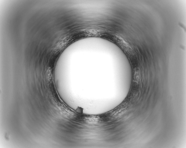 X0000093450318200711021119