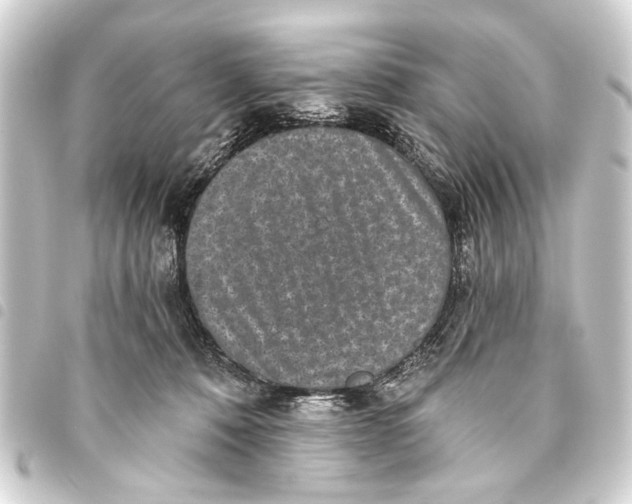 X0000093450320200711021119