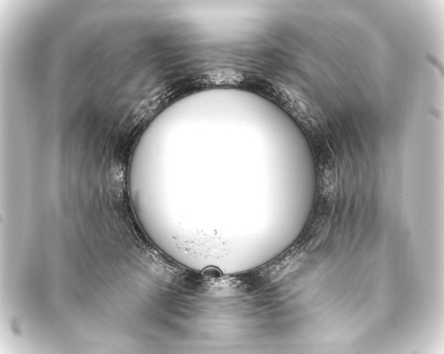 X0000093450321200711021119