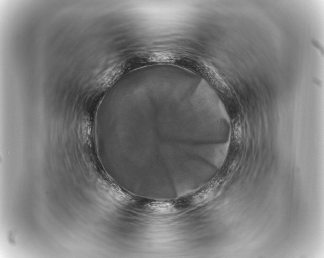 X0000093450322200711021119