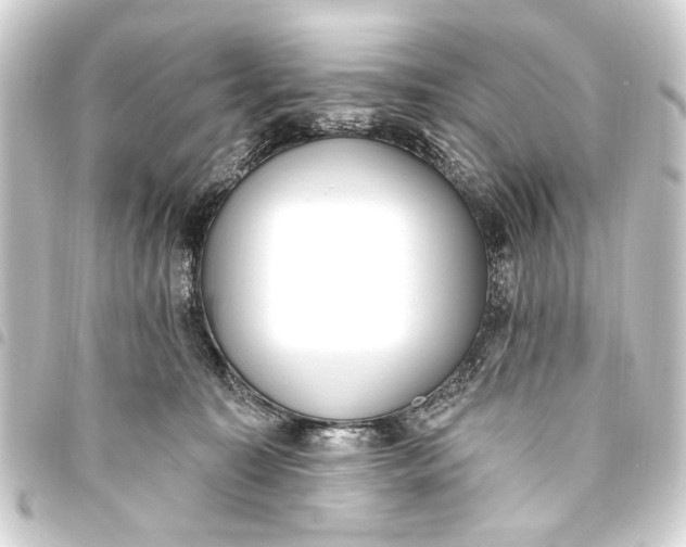 X0000093450323200711021119