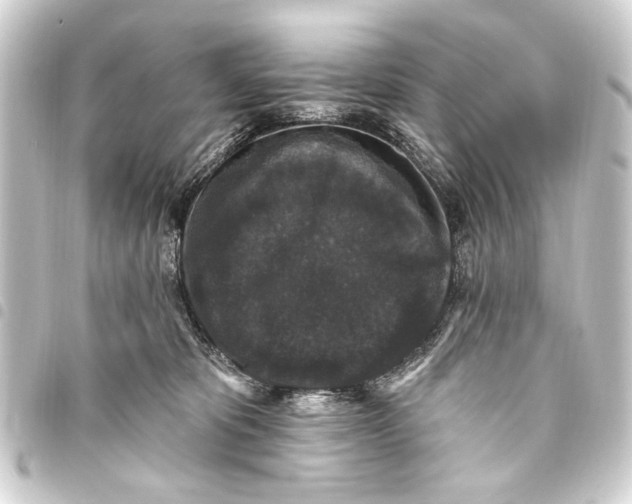 X0000093450325200711021119