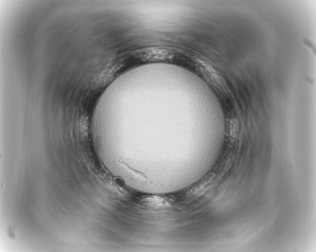 X0000093450326200711021119