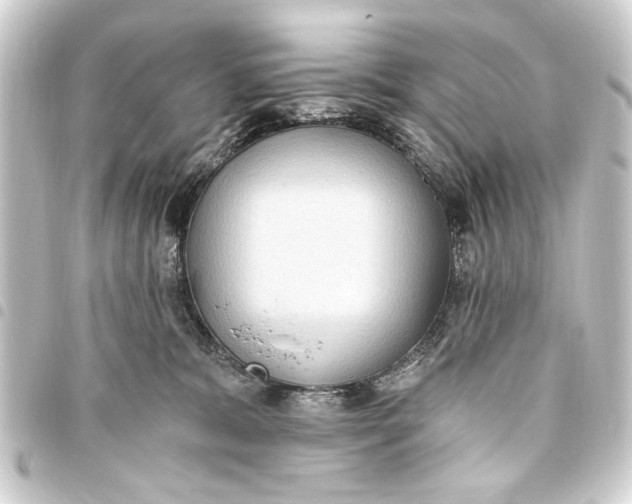 X0000093450327200711021119