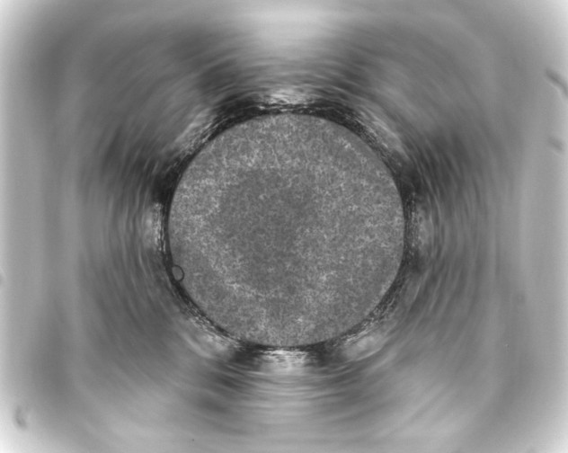 X0000093450328200711021119