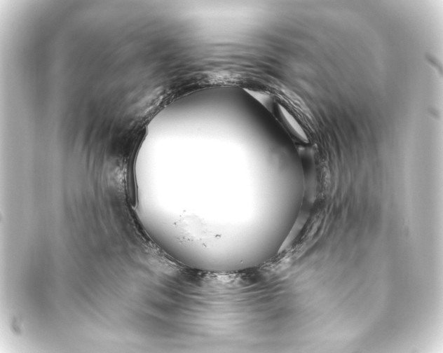 X0000093450329200711021119