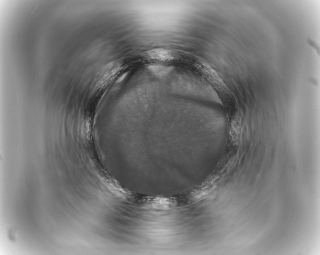 X0000093450330200711021119