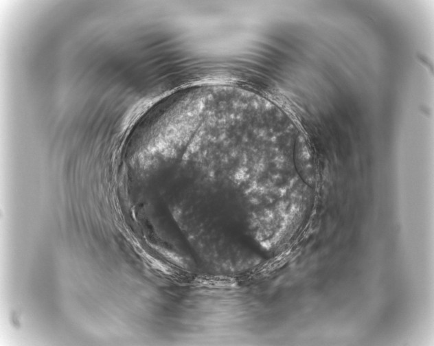 X0000093450337200711021118