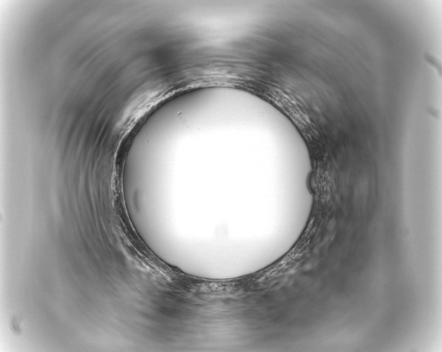 X0000093450338200711021118