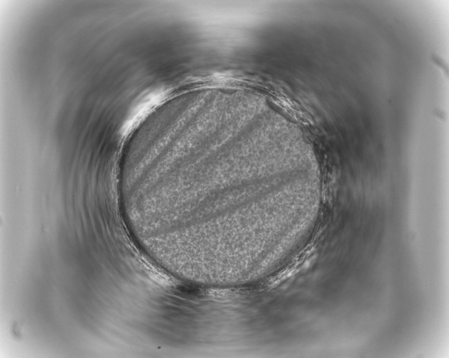 X0000093450341200711021118