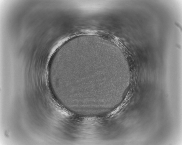 X0000093450342200711021118