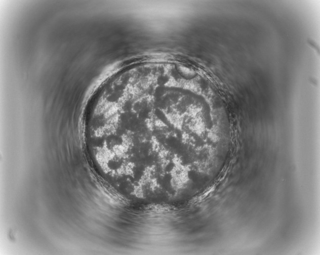 X0000093450343200711021118