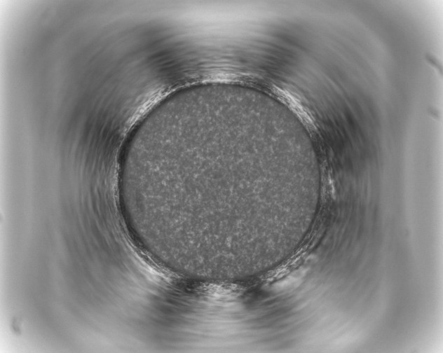 X0000093450346200711021119