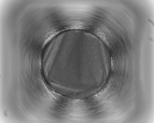 X0000093450348200711021119