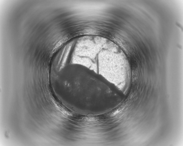 X0000093450349200711021119