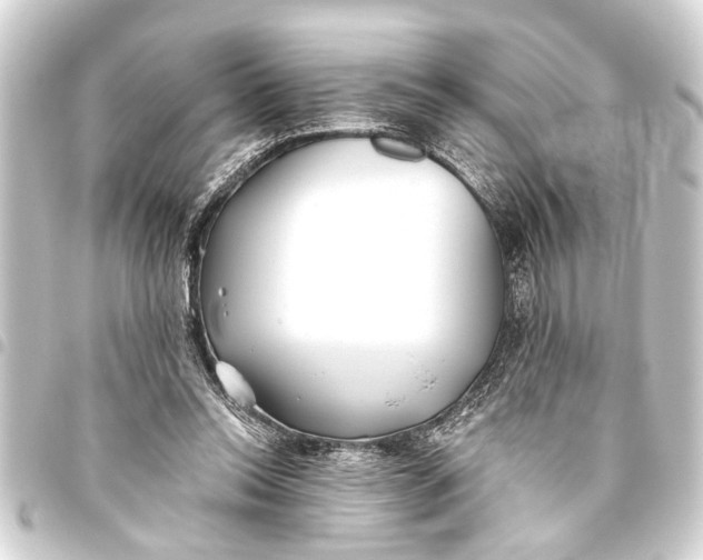 X0000093450350200711021119