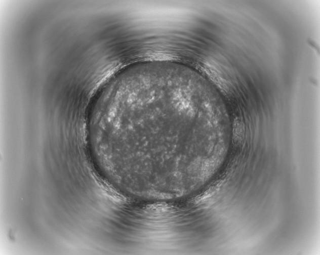 X0000093450351200711021119