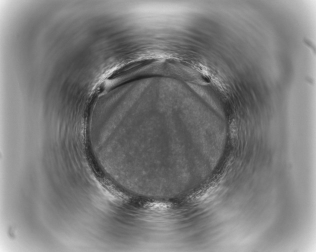 X0000093450352200711021119