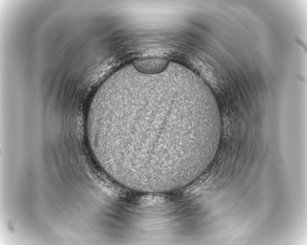 X0000093450354200711021119