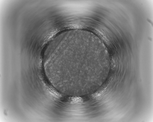 X0000093450355200711021119