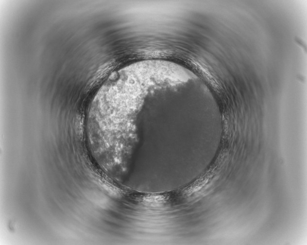 X0000093450357200711021119